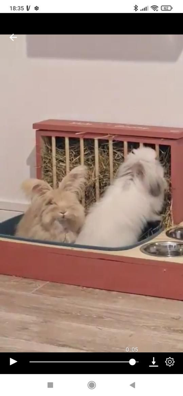 Lapi'Box XXL + Gamelles / Largeur