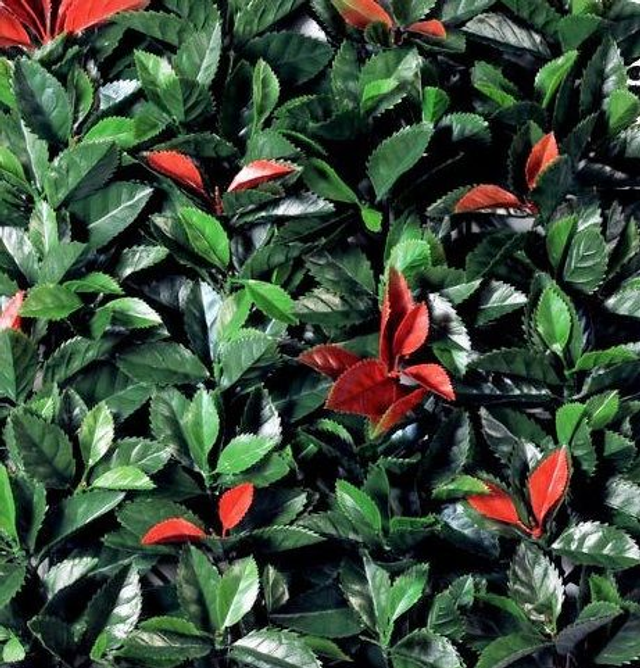 Siepe Sintetica - Divy Photinia