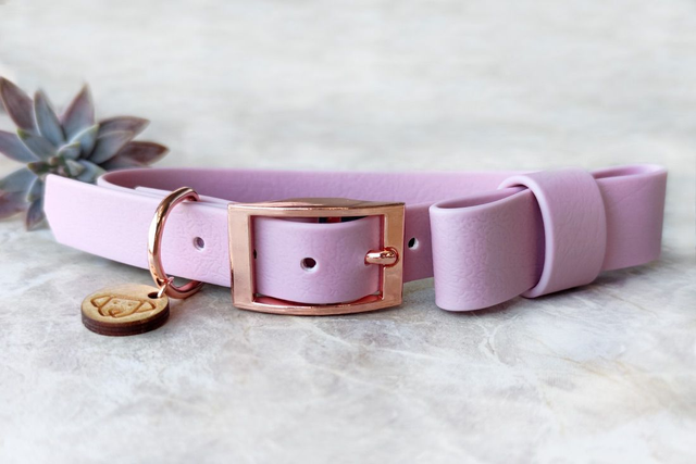 Lavender Collar with bowtie