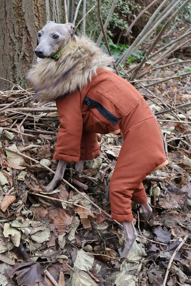 Four Leg Winter Coat