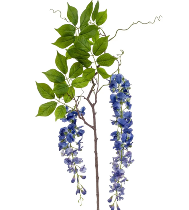 Wisteria branch blue 