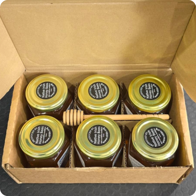 6 jar Wildflower Box Set