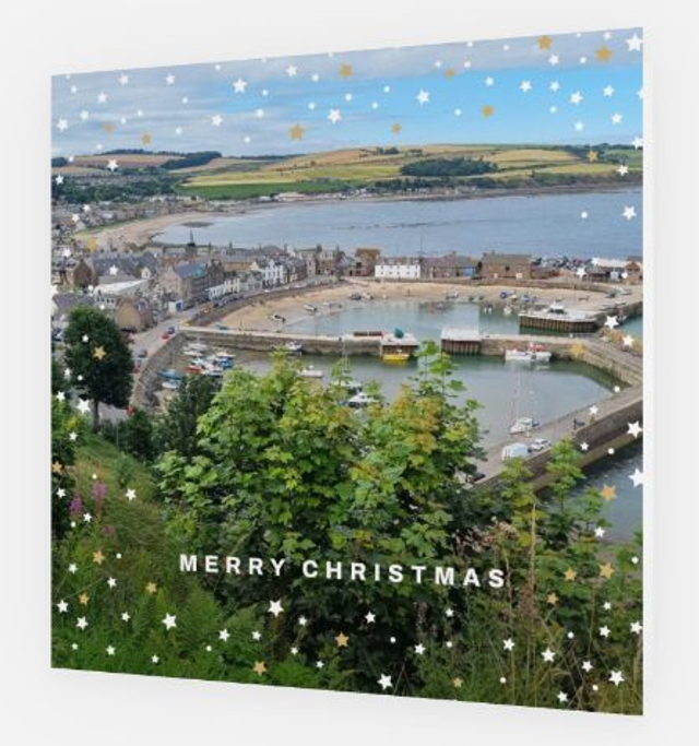 Pack of Ten (mixed) Christmas Cards (a mix of each or all the same) incl. envelopes