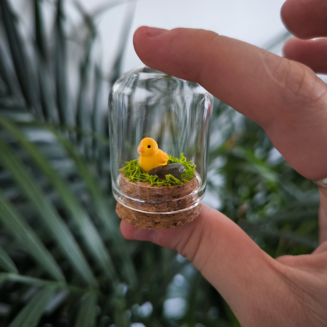 Toup&#039;tit protecteur - Poussin