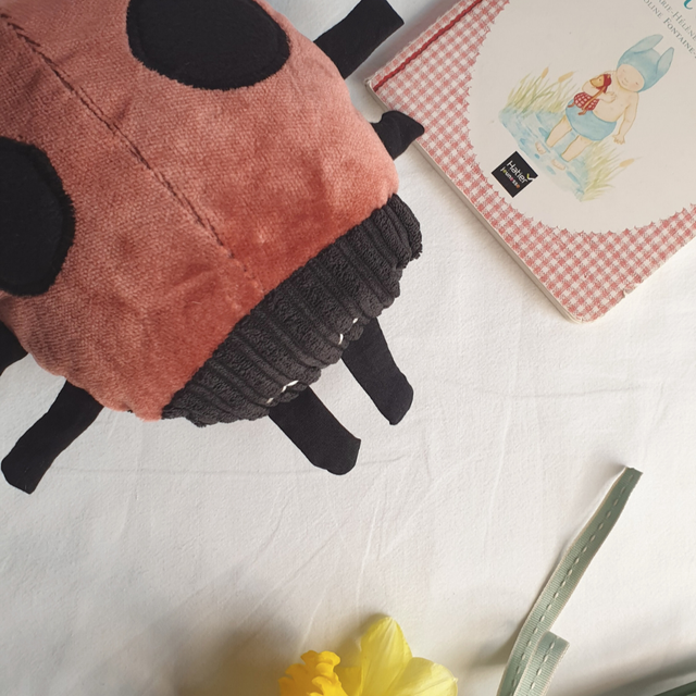 Annabelle la Coccinelle