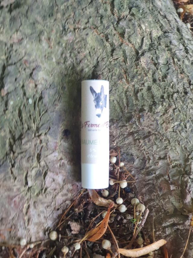 BAUME LÈVRES au lait d'ânesse 
