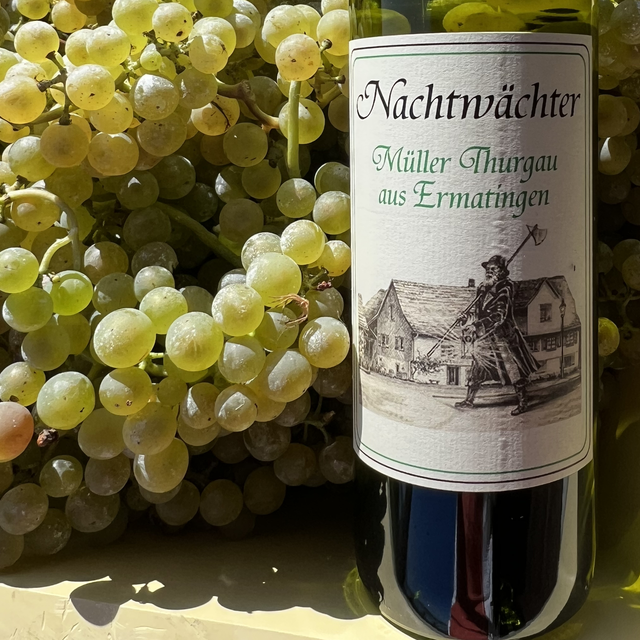 Nachtwächter Müller Thurgau , trocken ,2024 AOC THURGAU 