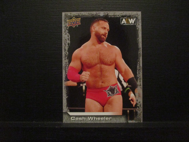 Cash Wheeler - All Elite AEW Original Upper Deck Trading Card #44