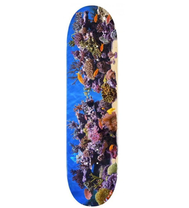 Mini Logo Skateboard Deck - Fish Tank 7.75"