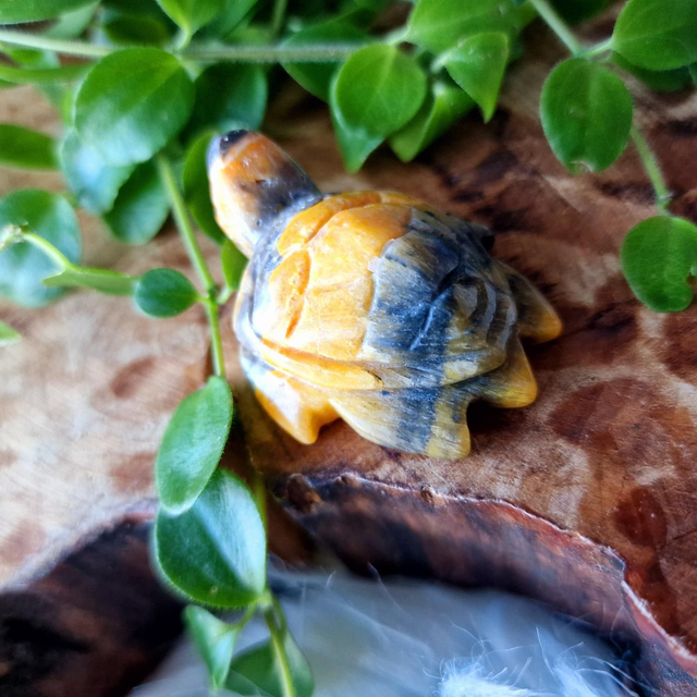 BumbleBee Jasper Turtle Carving 