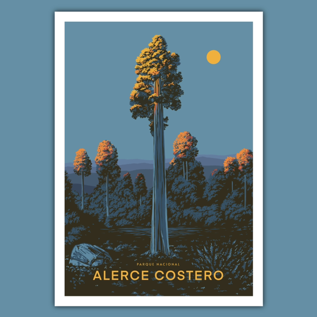 Alerce Costero