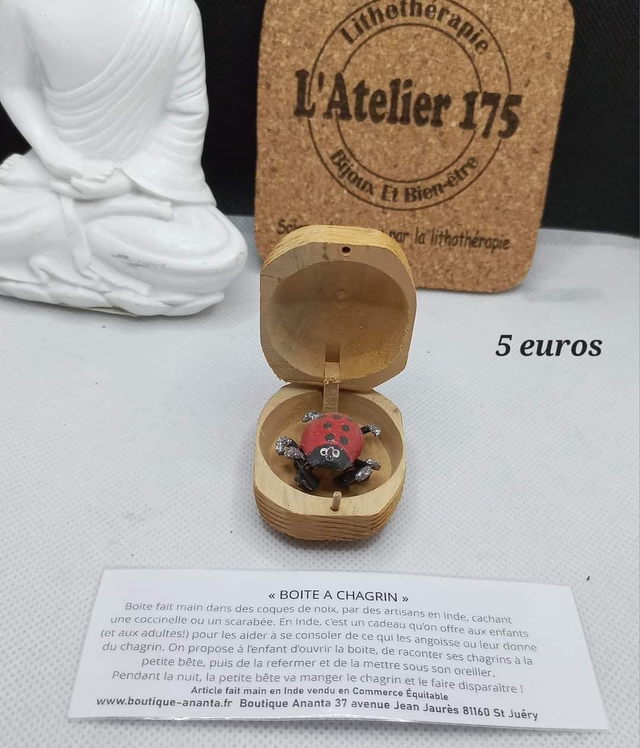 Coccinelle mange chagrin 