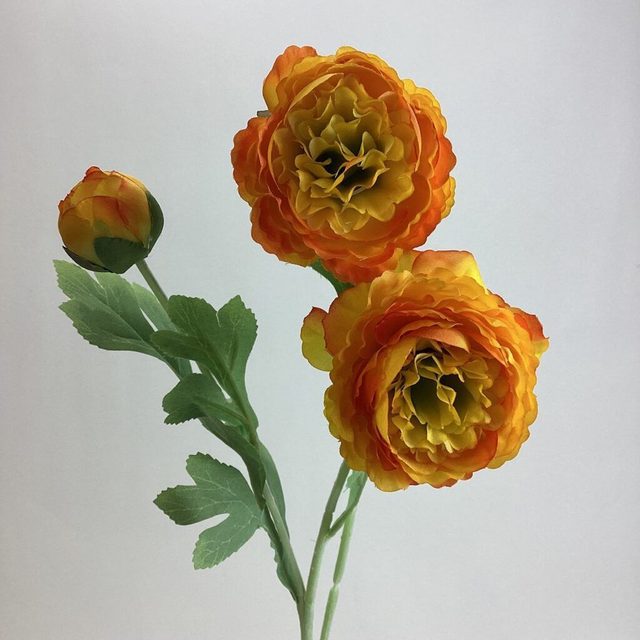 Ranunculus Spray Orange