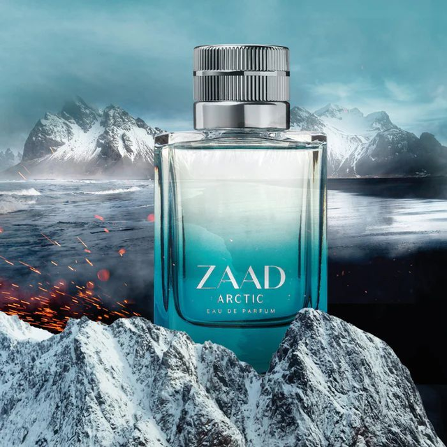 ZAAD ARCTIC 95ML