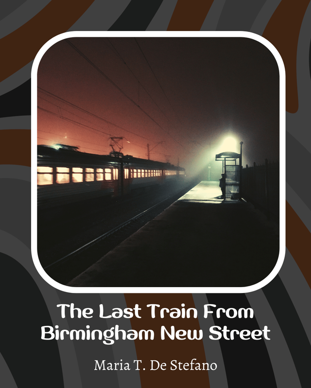 Last Train To Birmingham New Street