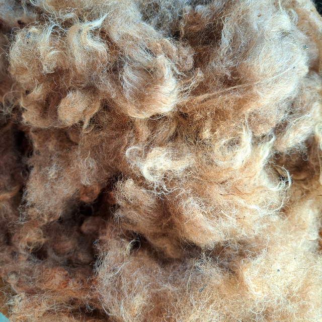 Raakavilla ruskea suomenlammas 100g