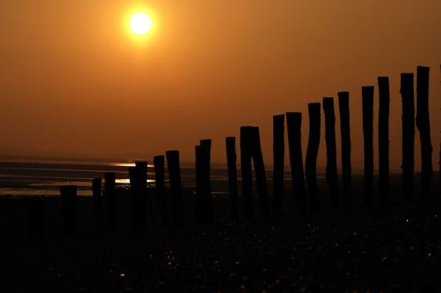 Levé de soleil en baie de Somme - ref: 5985