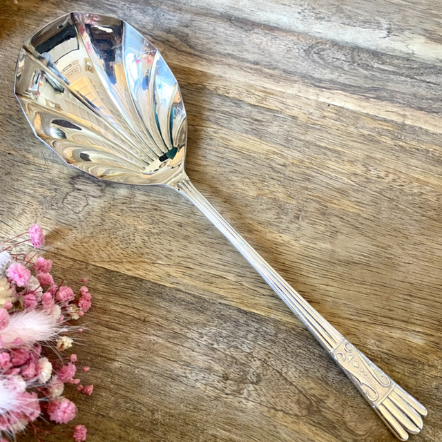 Service cuillère coquillage 