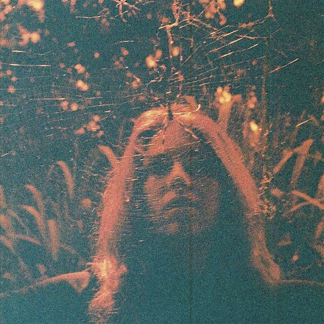 Turnover - Peripheral Vision LP (10th Anniversary Edition UK Indies Exclusive Cherry Coloured Vinyl)