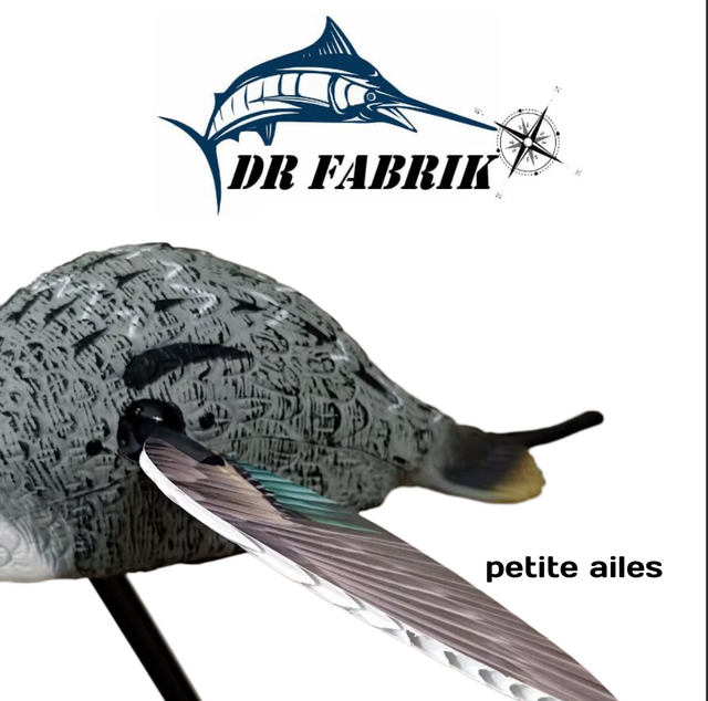 Canard pilet à ailes tournantes