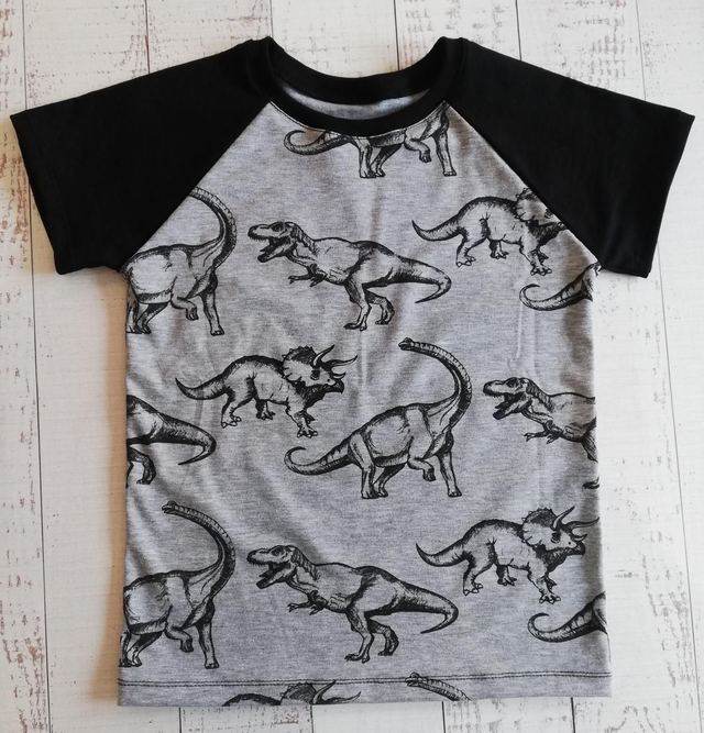 Children's Raglan T-Shirt - Dinosaur Grey &amp; Black