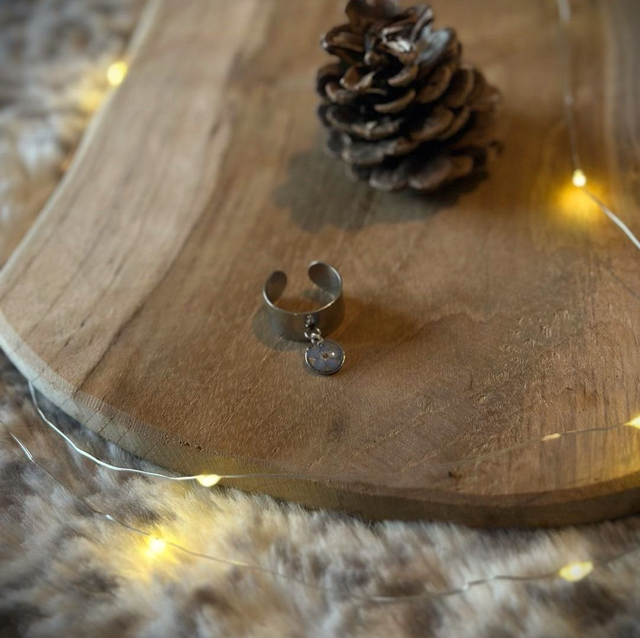 Élisa - Lueur de myosotis