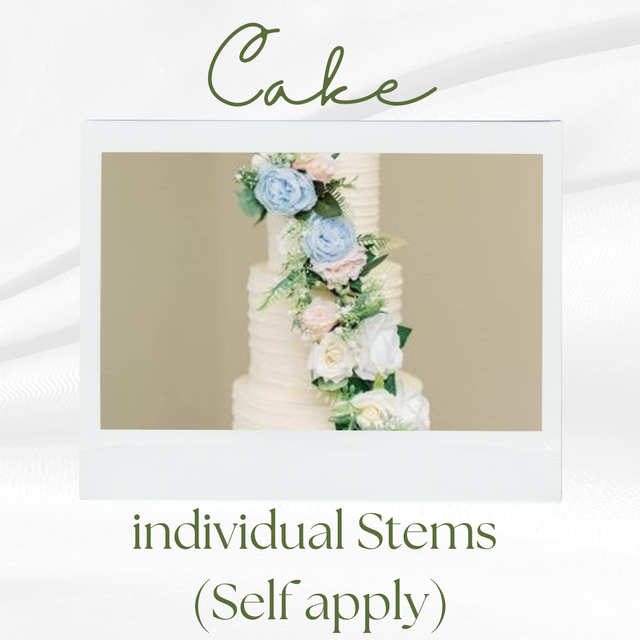 Individual Cake Stems 