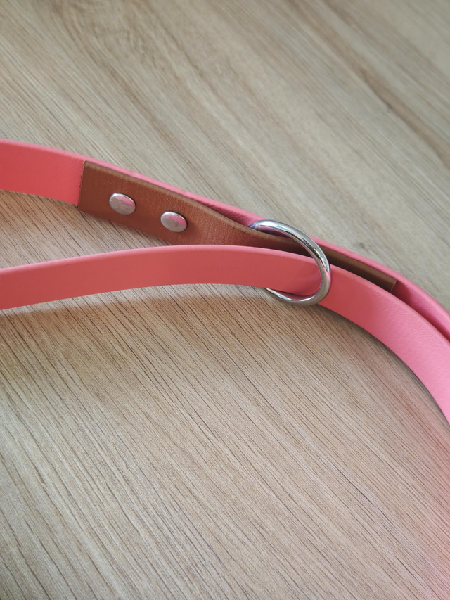 Laisse 25mm Multi position