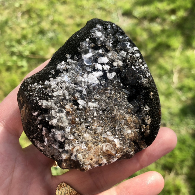 Septaria sauvage A Madagascar 