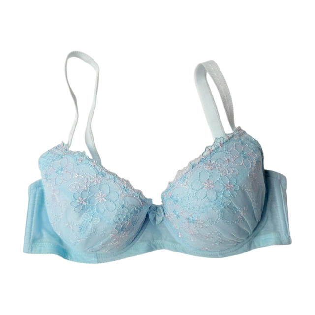 Blue and Pink Embroidered Japanese Bra UK 34D, UK 36A