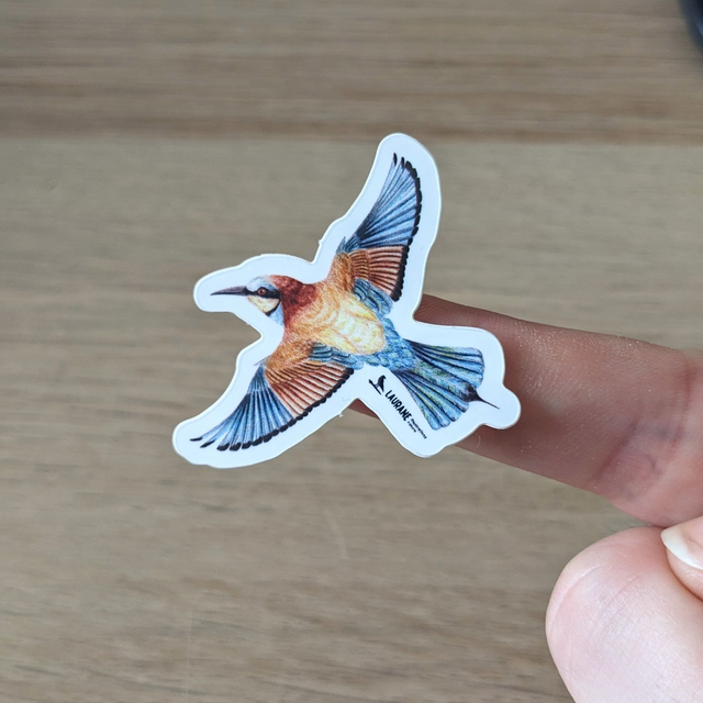 Ministicker Guêpier d'Europe 