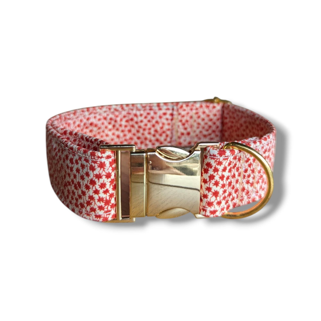 Red and Cream Floral Print 