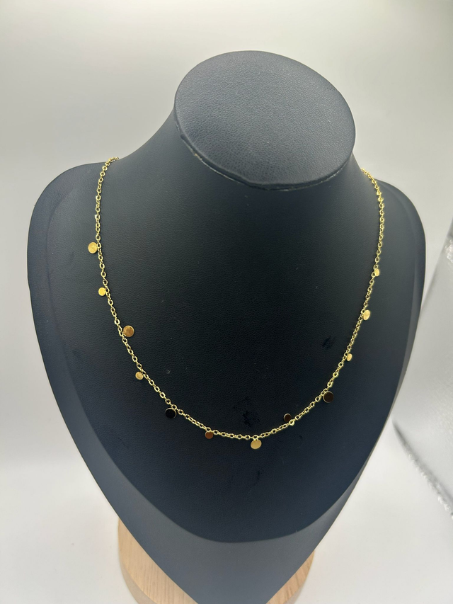 Stainless Steel Necklace (SSN65J)