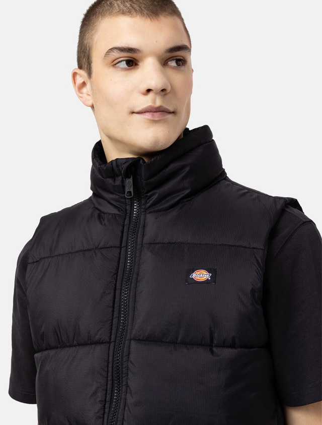 85612310 - DICKIES uomo Piumino smanicato Waldenburg in piuma