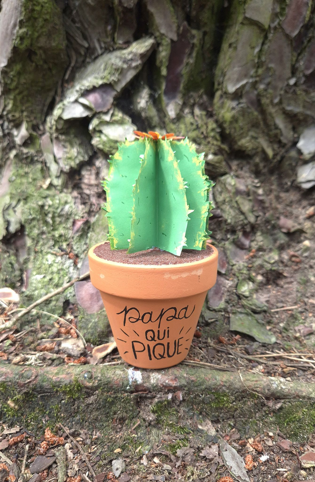 Baby plante "papa qui pique"