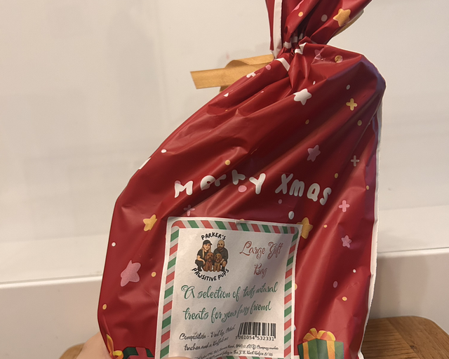 Christmas Bag