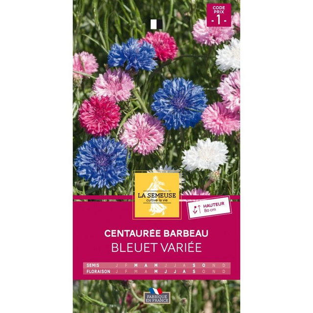 Centaurée Barbeau Bleuet Variée