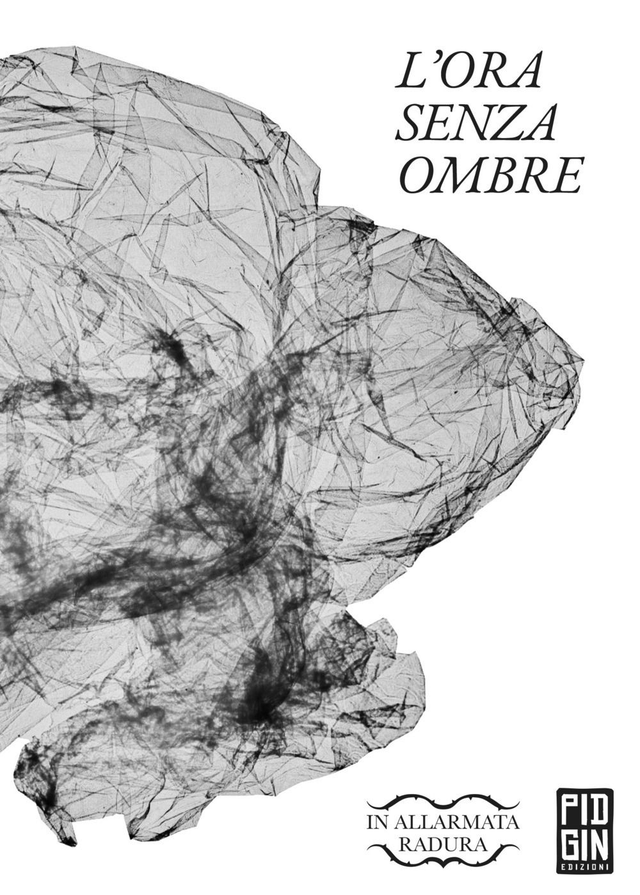 In Allarmata Radura (a cura di) - L'ora senza ombre