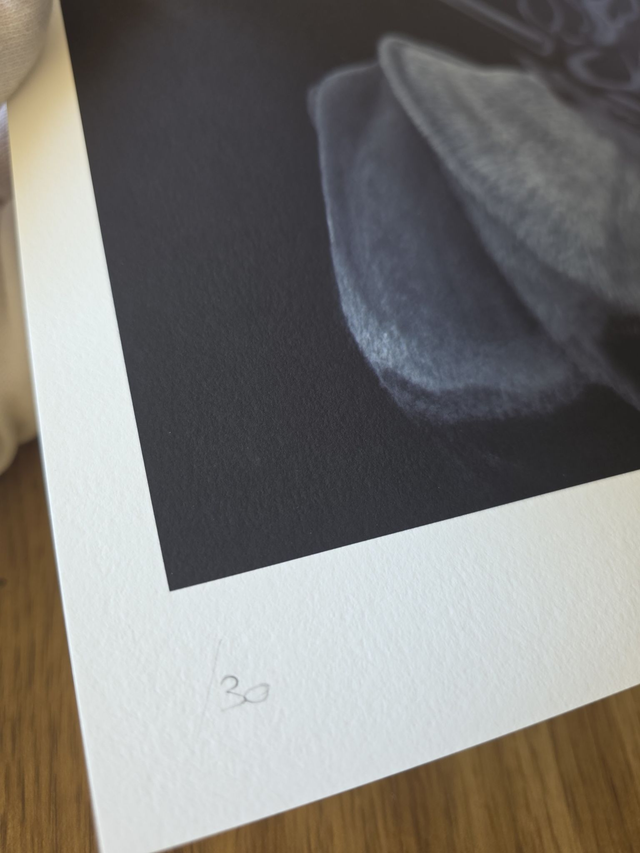 Caribou - Edition Fine Art