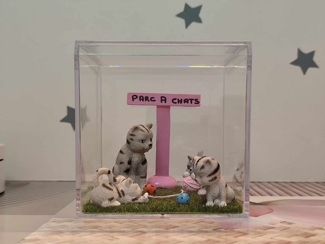 La vitrine du parc à chats