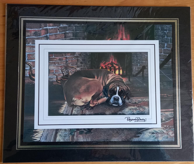  Dog mounted picture