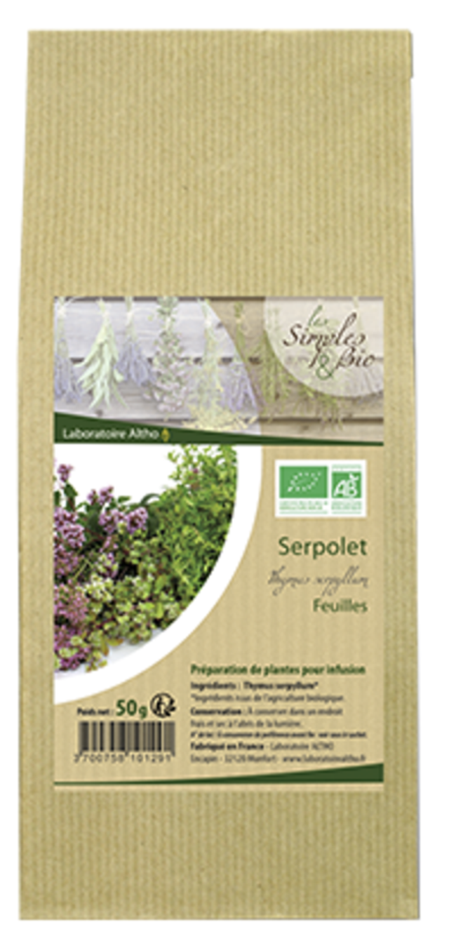 Plante Thym Serpolet feuilles
