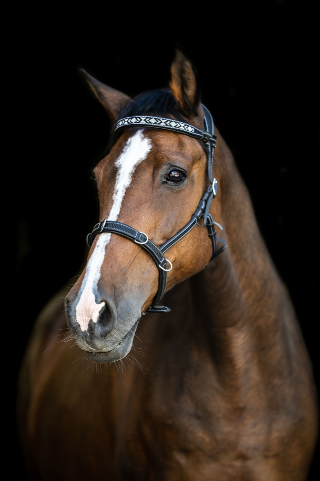 Kaptoom met pareltjes - Zwart