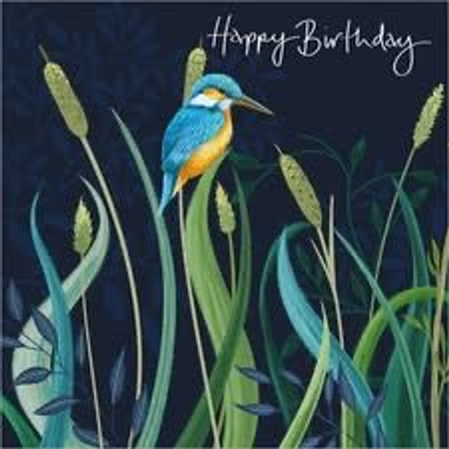KINGFISHER BIRTHDAY A079