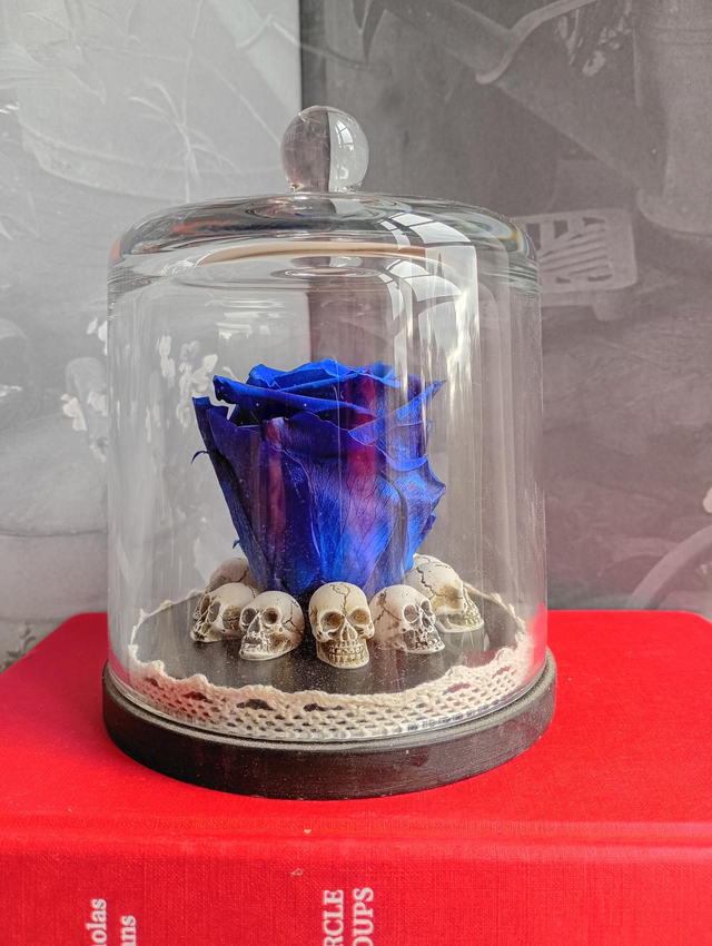 D05 Rose bleu sur crâne