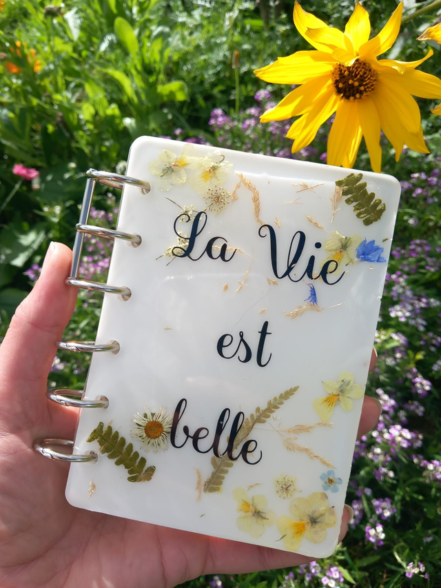 Carnet la vie est belle 