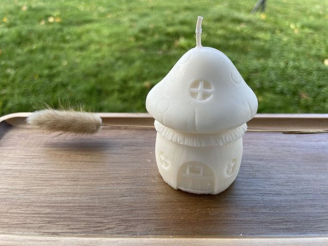 Bougie moulée - Maison champignon