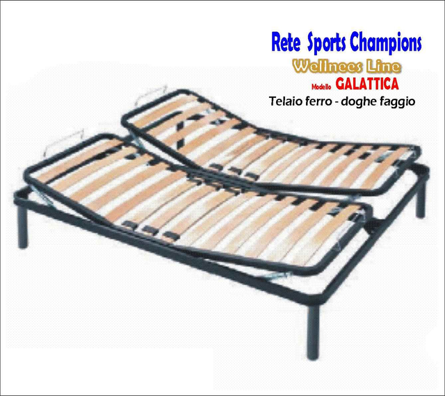 Rete doghe At+Ap Manuale GALATTICA Champion 