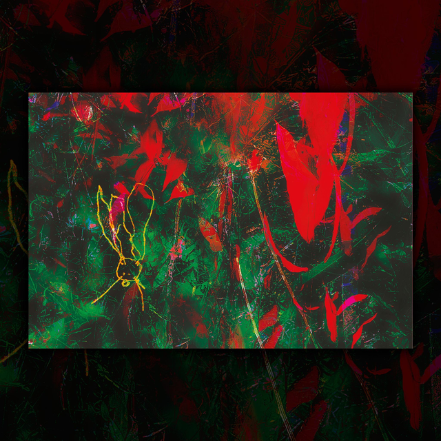 "Ao meu redor" Liriz, 2025 | Reprodução print fine art 30 x 20 cm