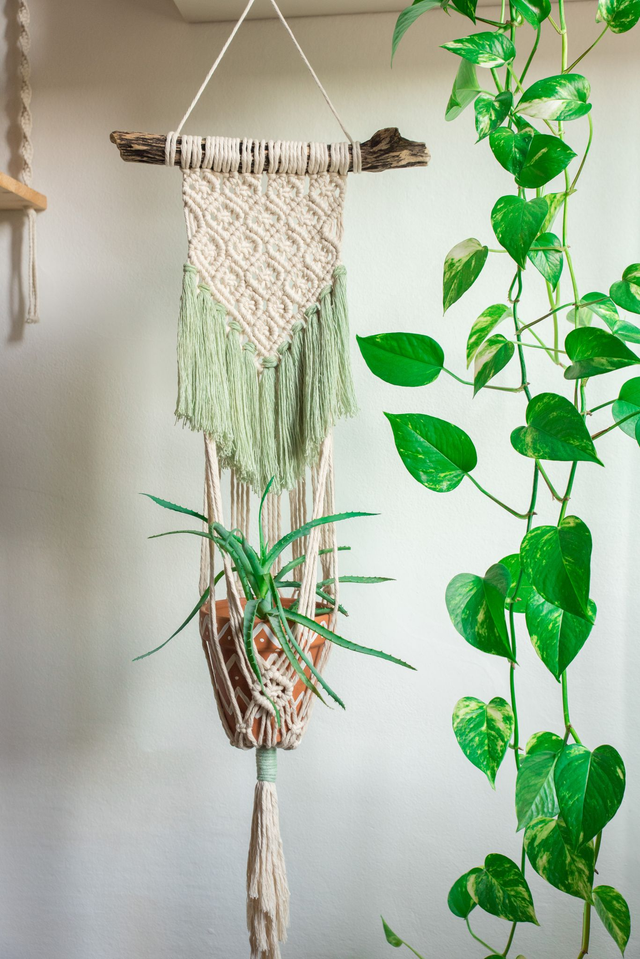 𝑃𝑜𝑟𝑡𝑎 𝑝𝑖𝑎𝑛𝑡𝑒 𝑔𝑟𝑎𝑛𝑑𝑒 𝑐𝑜𝑛 𝑓𝑟𝑎𝑛𝑔𝑒 𝑐𝑜𝑙𝑜𝑟𝑎𝑡𝑒